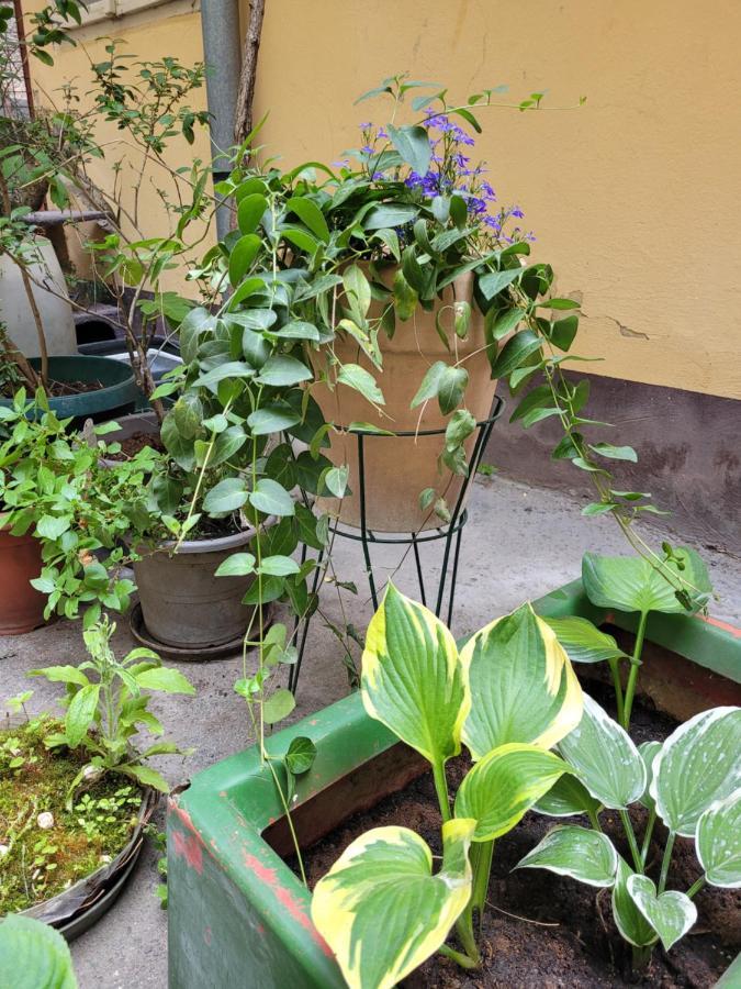 Secret Garden Apartment Zagreb Exterior foto